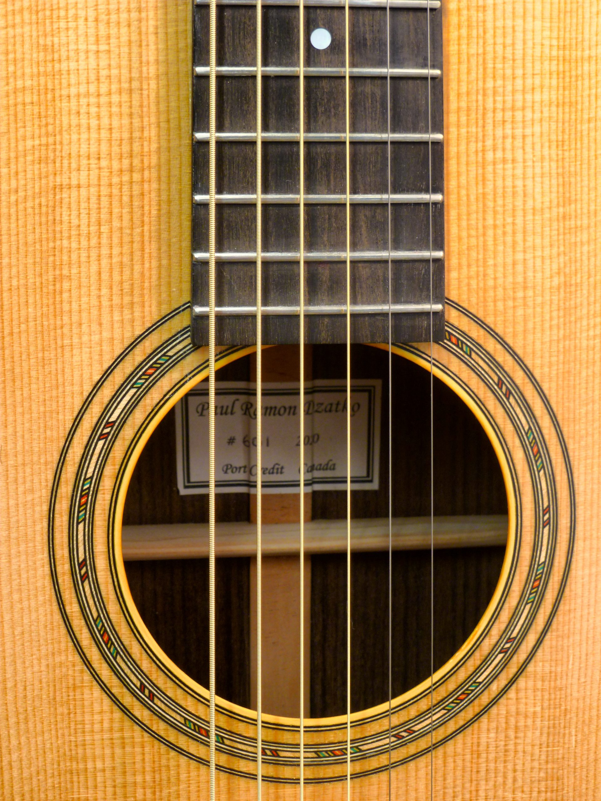 Guitar 1 Rosette-Edit
